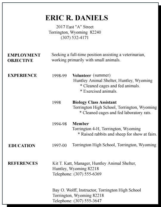 Example of First Resume